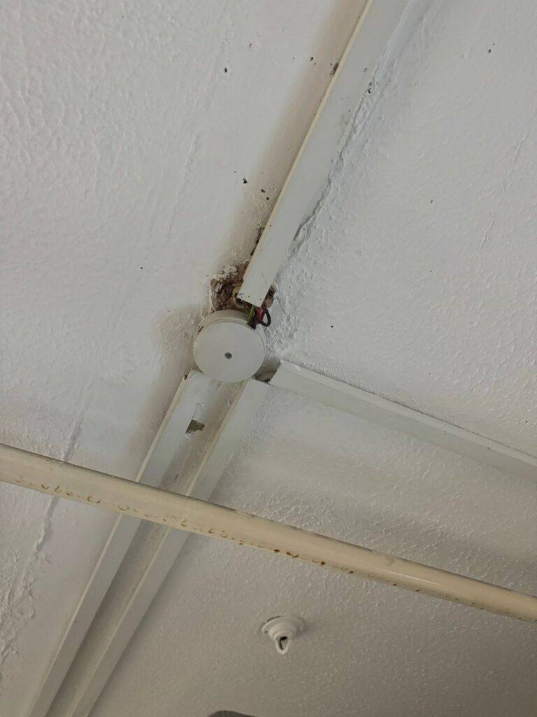 EICR at Commercial Unit