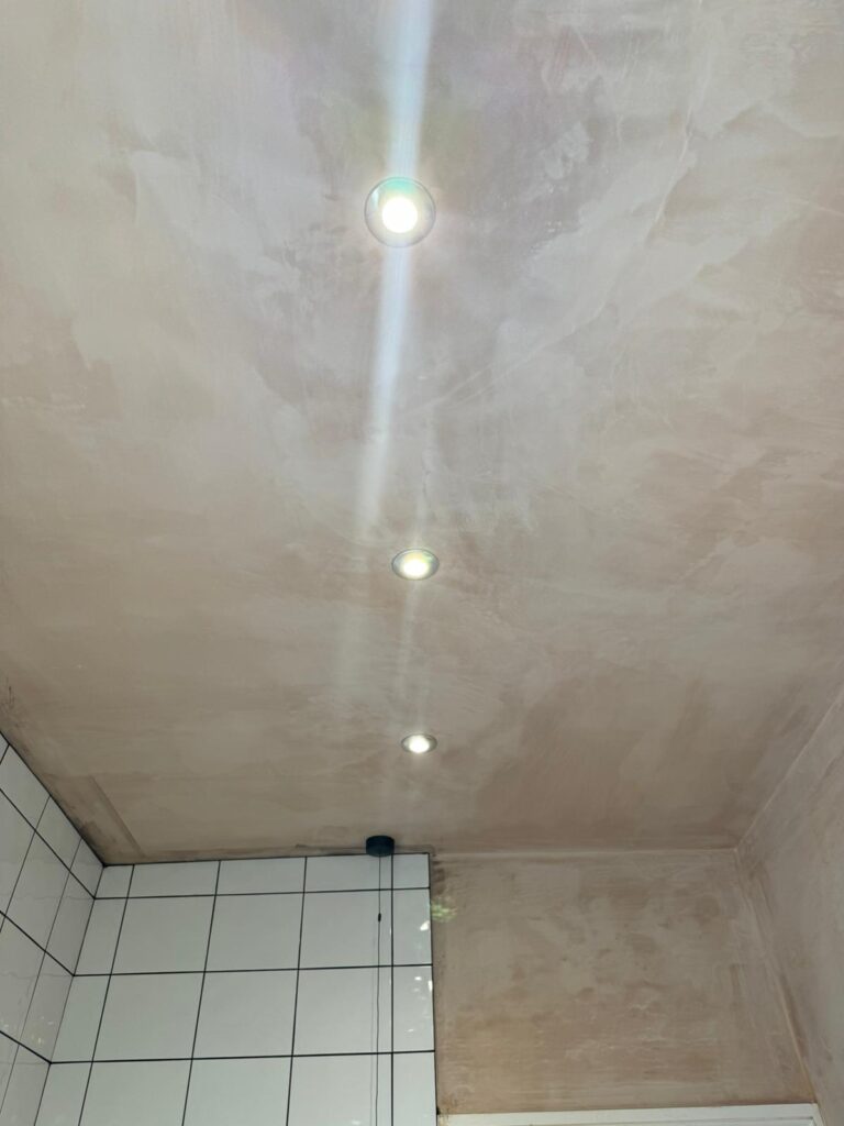 Downlight and Pull Cord Replacement.